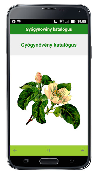 Run android online APK Gyógynövény katalógus from MyAndroid or emulate Gyógynövény katalógus using MyAndroid Run android online APK Gyógynövény katalógus from MyAndroid or emulate Gyógynövény katalógus using MyAndroid