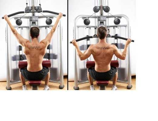 Emulate Android APK GYM Fitnes Trainer and training Emulate Android APK GYM Fitnes Trainer and training