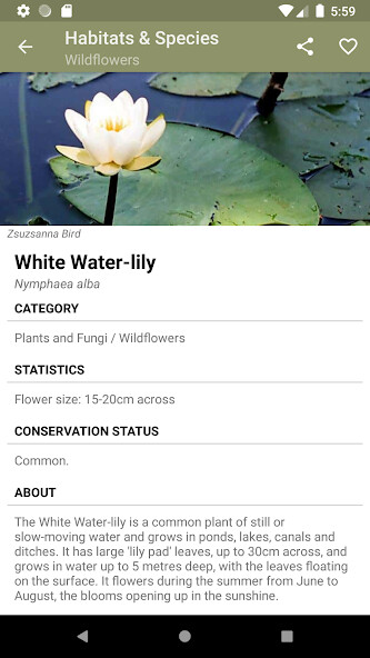 Run android online APK Habitats Species Explorer from MyAndroid or emulate Habitats Species Explorer using MyAndroid Run android online APK Habitats Species Explorer from MyAndroid or emulate Habitats Species Explorer using MyAndroid
