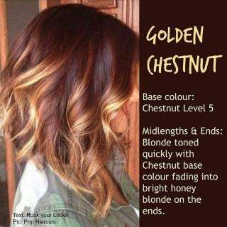 Run android online APK Hair Color Ideas For Girls from MyAndroid or emulate Hair Color Ideas For Girls using MyAndroid