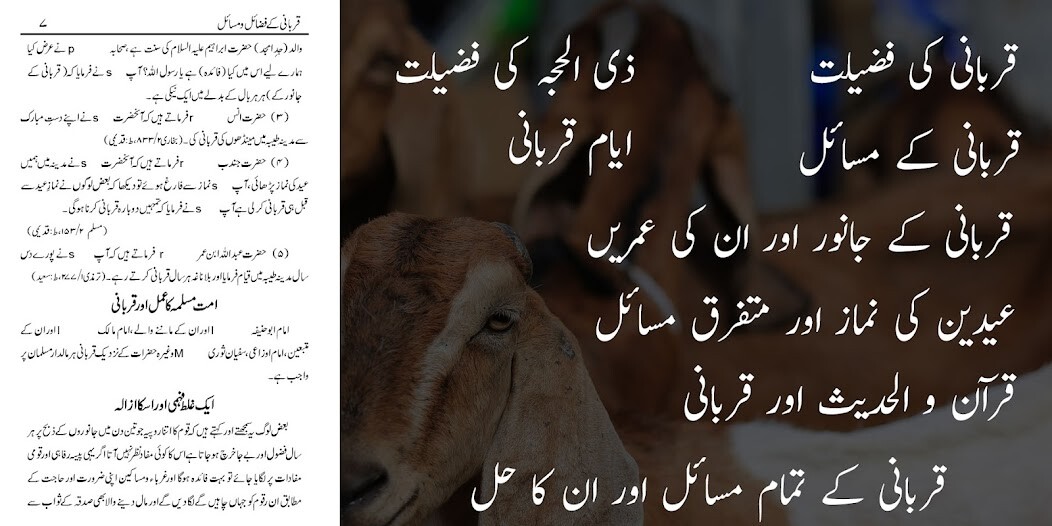 Run android online APK Hajj, Umrah, Qurbani Guide from MyAndroid or emulate Hajj, Umrah, Qurbani Guide using MyAndroid