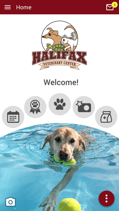 Run android online APK HalifaxVet from MyAndroid or emulate HalifaxVet using MyAndroid