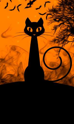Run android online APK Halloween Wallpaper HD : backgrounds & themes from MyAndroid or emulate Halloween Wallpaper HD : backgrounds & themes using MyAndroid