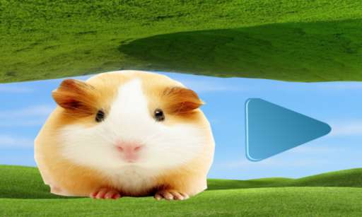Run android online APK Hamster Blue from MyAndroid or emulate Hamster Blue using MyAndroid Run android online APK Hamster Blue from MyAndroid or emulate Hamster Blue using MyAndroid
