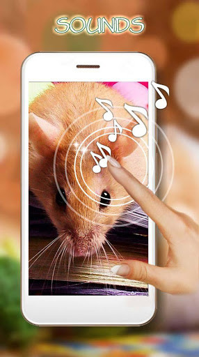 Run android online APK Hamster Cute Live Wallpaper from MyAndroid or emulate Hamster Cute Live Wallpaper using MyAndroid Run android online APK Hamster Cute Live Wallpaper from MyAndroid or emulate Hamster Cute Live Wallpaper using MyAndroid