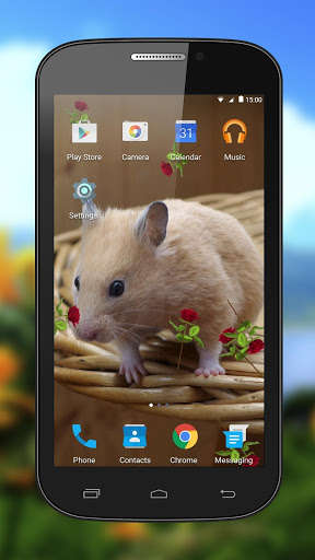 Run android online APK Hamster Live Wallpapers from MyAndroid or emulate Hamster Live Wallpapers using MyAndroid Run android online APK Hamster Live Wallpapers from MyAndroid or emulate Hamster Live Wallpapers using MyAndroid