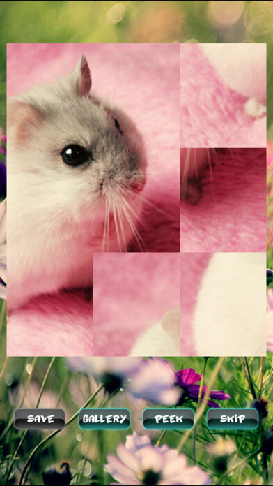 Emulate Android APK Hamster Puzzles Emulate Android APK Hamster Puzzles