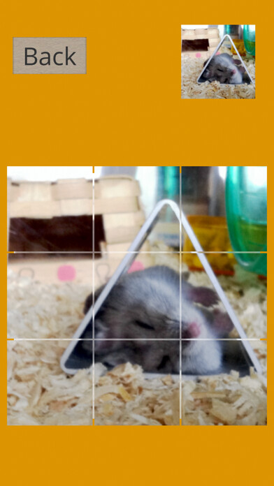 Emulate iPhone app Hamster Slider Puzzle using MyAndroid Emulate iPhone app Hamster Slider Puzzle using MyAndroid