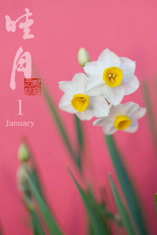Emulate iPhone app Hanatoiro - Art Japan Calendar using MyAndroid Emulate iPhone app Hanatoiro - Art Japan Calendar using MyAndroid