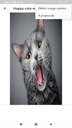 Run android online APK Happy cats wallpapers from MyAndroid or emulate Happy cats wallpapers using MyAndroid