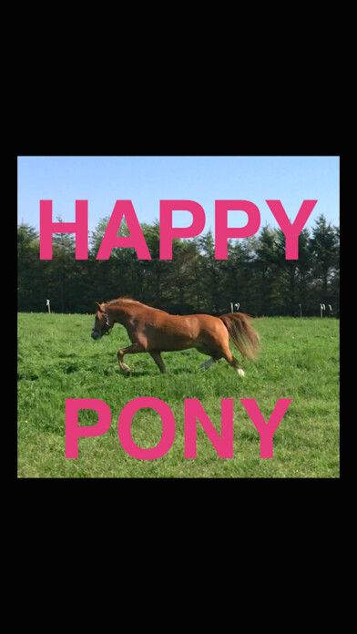 Emulate iPhone app Happy Pony for iPhone by Horse Reader using MyAndroid Emulate iPhone app Happy Pony for iPhone by Horse Reader using MyAndroid