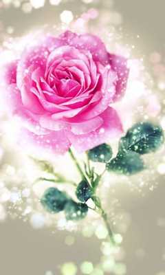 Emulate Android APK Happy rose day live wallpaper Emulate Android APK Happy rose day live wallpaper