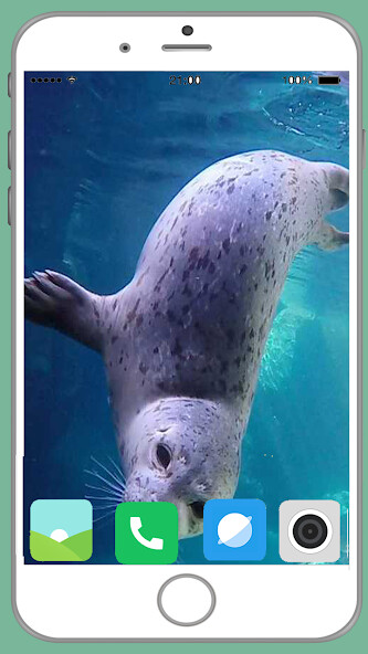 Run android online APK Harb Seal Full HD Wallpaper from MyAndroid or emulate Harb Seal Full HD Wallpaper using MyAndroid