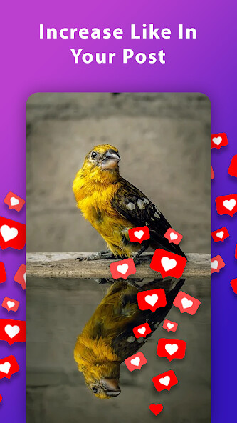 Emulate Android APK HashTags For Followers