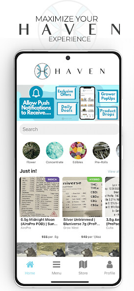 Run android online APK Haven Dispensary from MyAndroid or emulate Haven Dispensary using MyAndroid Run android online APK Haven Dispensary from MyAndroid or emulate Haven Dispensary using MyAndroid