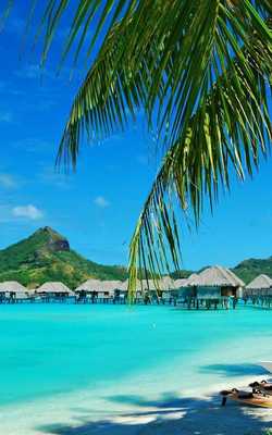 Emulate Android APK Hawaii Beach Wedding - Best Hawaii Beach Weddings Emulate Android APK Hawaii Beach Wedding - Best Hawaii Beach Weddings