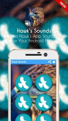Emulate Android APK Hawks Sounds 2017 Free