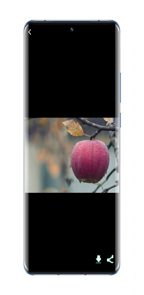 Run android online APK HD 4K Desktop Wallpapers from MyAndroid or emulate HD 4K Desktop Wallpapers using MyAndroid Run android online APK HD 4K Desktop Wallpapers from MyAndroid or emulate HD 4K Desktop Wallpapers using MyAndroid