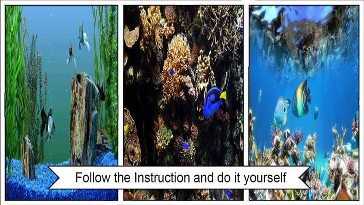 Emulate Android APK HD Aquarium Wallpaper 3D Emulate Android APK HD Aquarium Wallpaper 3D