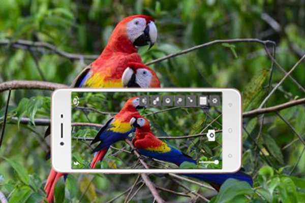 Emulate Android APK hd camera for nikon