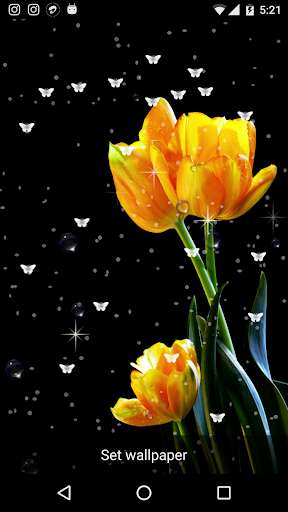 Run android online APK HD Flowers Live Wallpaper from MyAndroid or emulate HD Flowers Live Wallpaper using MyAndroid
