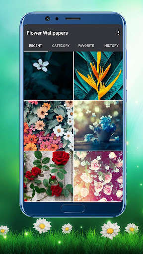 Run android online APK HD Flower Wallpaper from MyAndroid or emulate HD Flower Wallpaper using MyAndroid