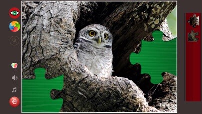 Emulate iPhone app HD Jigsaw Puzzles for Adults using MyAndroid