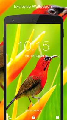 Emulate Android APK HD Live Bird Wallpaper Emulate Android APK HD Live Bird Wallpaper