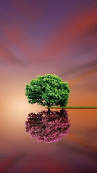 Run android online APK HD Minimalist Wallpaper from MyAndroid or emulate HD Minimalist Wallpaper using MyAndroid Run android online APK HD Minimalist Wallpaper from MyAndroid or emulate HD Minimalist Wallpaper using MyAndroid