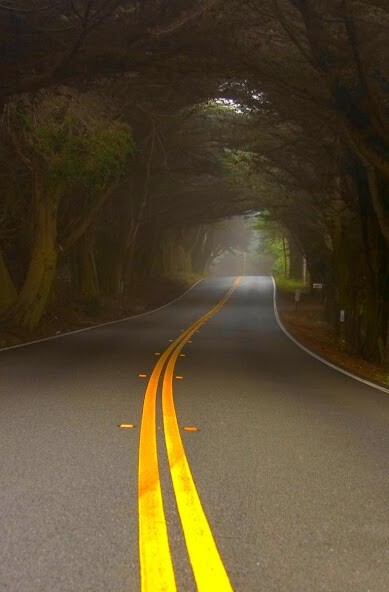 Run android online APK HD Road Wallpaper from MyAndroid or emulate HD Road Wallpaper using MyAndroid Run android online APK HD Road Wallpaper from MyAndroid or emulate HD Road Wallpaper using MyAndroid