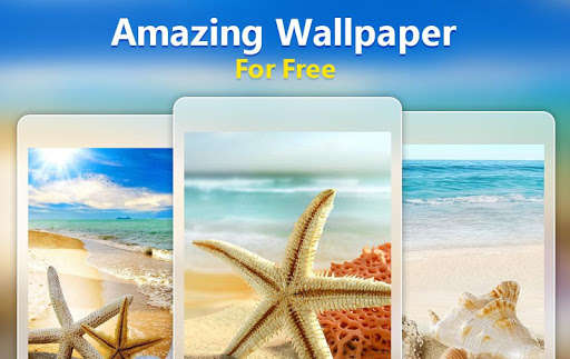 Run android online APK HD Seashell Wallpapers from MyAndroid or emulate HD Seashell Wallpapers using MyAndroid