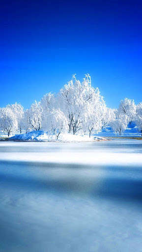 Run android online APK HD Winter Wallpaper from MyAndroid or emulate HD Winter Wallpaper using MyAndroid Run android online APK HD Winter Wallpaper from MyAndroid or emulate HD Winter Wallpaper using MyAndroid