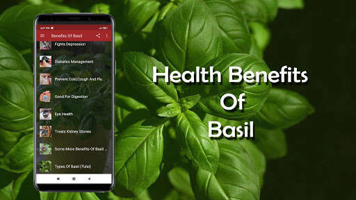 Run android online APK Health Benefits of Basil from MyAndroid or emulate Health Benefits of Basil using MyAndroid