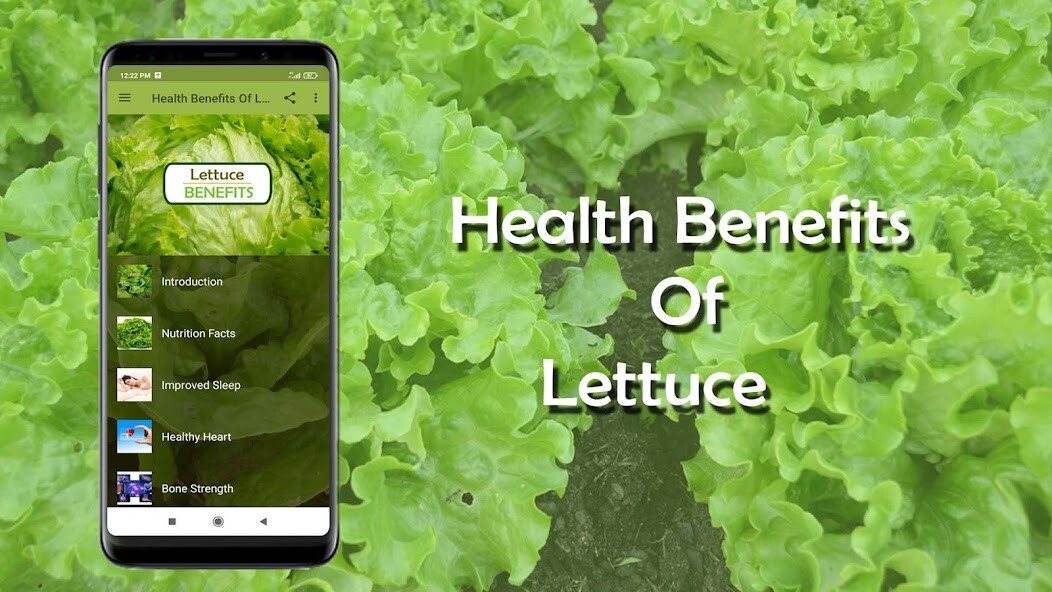 Run android online APK Health Benefits of Lettuce from MyAndroid or emulate Health Benefits of Lettuce using MyAndroid Run android online APK Health Benefits of Lettuce from MyAndroid or emulate Health Benefits of Lettuce using MyAndroid