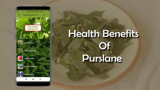 Run android online APK Health benefits of Purslane from MyAndroid or emulate Health benefits of Purslane using MyAndroid Run android online APK Health benefits of Purslane from MyAndroid or emulate Health benefits of Purslane using MyAndroid