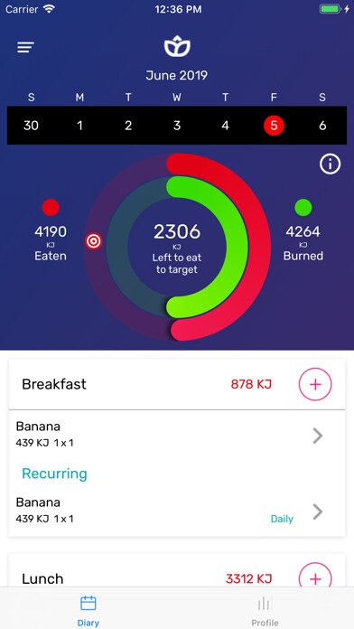 Emulate iPhone app Healthful app using MyAndroid Emulate iPhone app Healthful app using MyAndroid