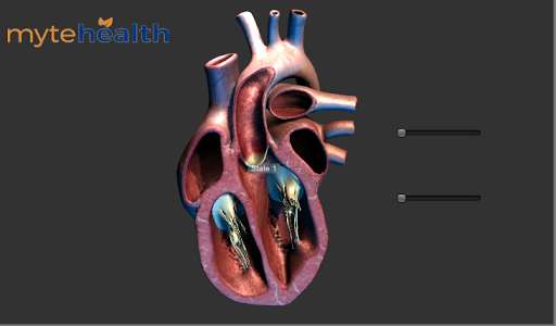 Run android online APK Heart 3D model for learning from MyAndroid or emulate Heart 3D model for learning using MyAndroid Run android online APK Heart 3D model for learning from MyAndroid or emulate Heart 3D model for learning using MyAndroid