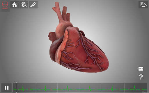 Run android online APK HeartWorks AR from MyAndroid or emulate HeartWorks AR using MyAndroid Run android online APK HeartWorks AR from MyAndroid or emulate HeartWorks AR using MyAndroid