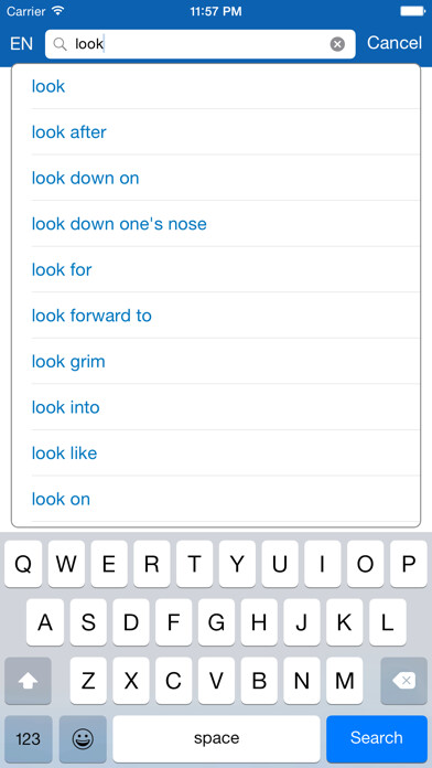 Emulate iPhone app Hebrew <> English Dictionary + Vocabulary trainer using MyAndroid Emulate iPhone app Hebrew <> English Dictionary + Vocabulary trainer using MyAndroid