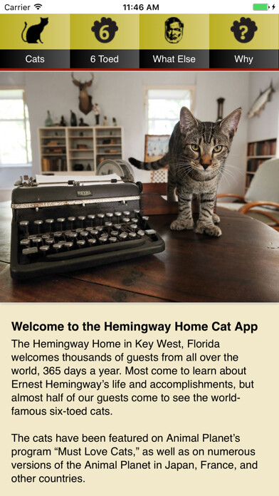 Emulate iPhone app Hemingway Cats using MyAndroid Emulate iPhone app Hemingway Cats using MyAndroid
