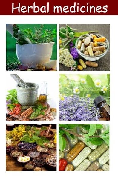 Run android online APK Herbal medicines plant from MyAndroid or emulate Herbal medicines plant using MyAndroid