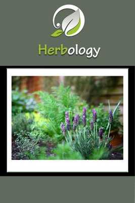 Emulate Android APK Herbology On The Go Emulate Android APK Herbology On The Go