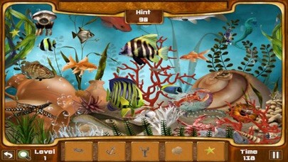 Emulate iPhone app Hidden Objects : Mystery Water using MyAndroid