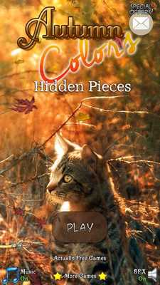 Emulate Android APK Hidden Pieces: Autumn Colors