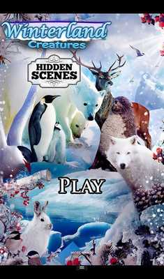 Emulate Android APK Hidden Scenes Winter Creatures Emulate Android APK Hidden Scenes Winter Creatures