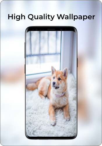 Run android online APK High Quality Wallpapers 2022 from MyAndroid or emulate High Quality Wallpapers 2022 using MyAndroid Run android online APK High Quality Wallpapers 2022 from MyAndroid or emulate High Quality Wallpapers 2022 using MyAndroid
