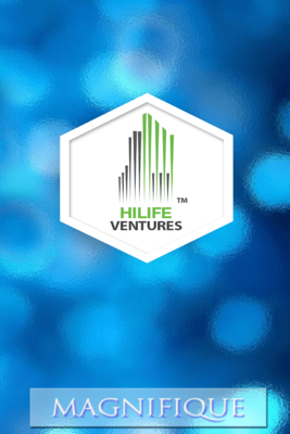 Emulate Android APK HiLife Ventures Magnifique Emulate Android APK HiLife Ventures Magnifique