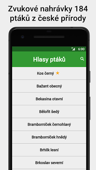 Run android online APK Hlasy ptáků from MyAndroid or emulate Hlasy ptáků using MyAndroid Run android online APK Hlasy ptáků from MyAndroid or emulate Hlasy ptáků using MyAndroid