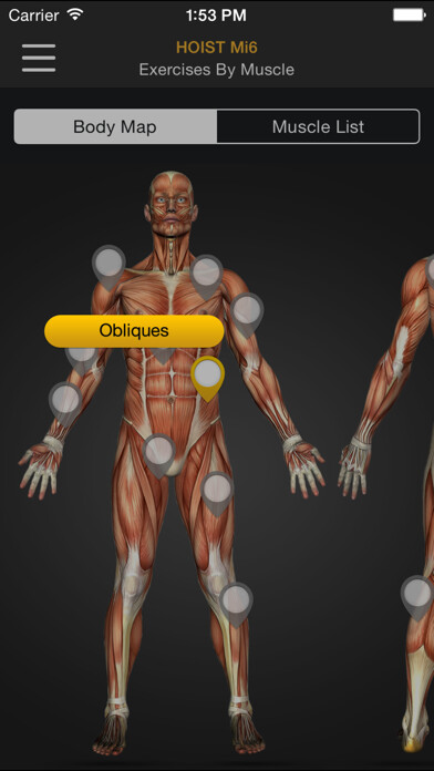 Run android online APK HOIST Strength from MyAndroid or emulate HOIST Strength using MyAndroid