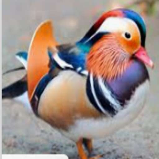 Run android online APK HOJA DE VIDA PARA MASCOTAS from MyAndroid or emulate HOJA DE VIDA PARA MASCOTAS using MyAndroid